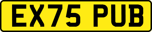 EX75PUB