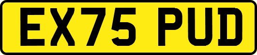 EX75PUD