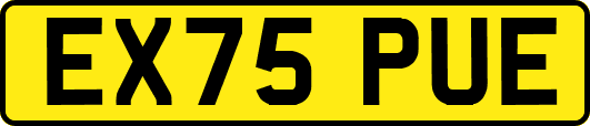 EX75PUE