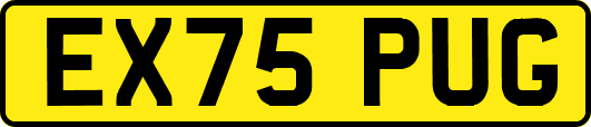 EX75PUG