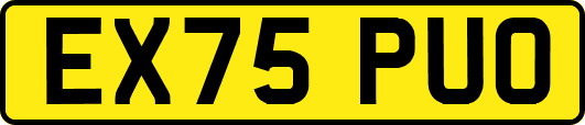 EX75PUO
