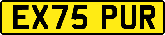 EX75PUR