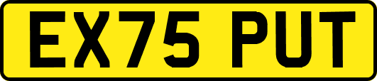 EX75PUT
