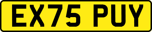 EX75PUY