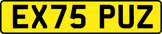 EX75PUZ