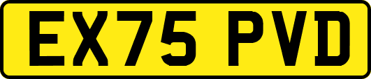 EX75PVD