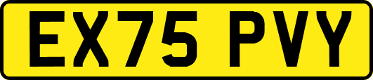 EX75PVY