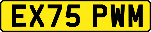 EX75PWM