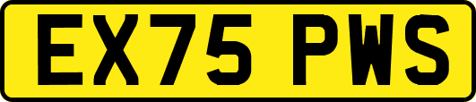 EX75PWS