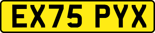 EX75PYX