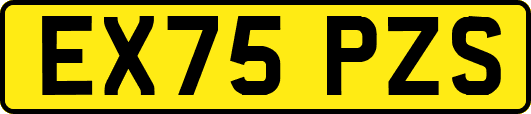 EX75PZS