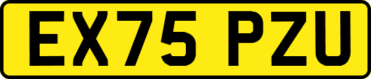 EX75PZU