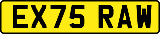 EX75RAW