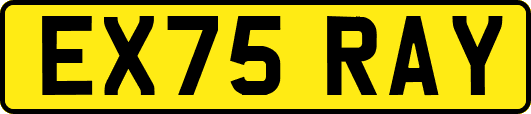 EX75RAY