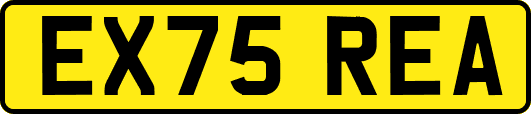 EX75REA