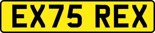 EX75REX