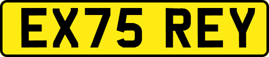 EX75REY