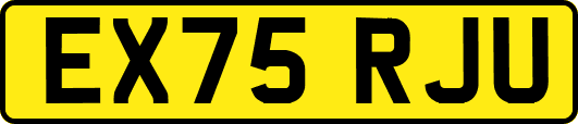 EX75RJU