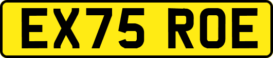EX75ROE