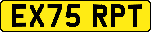 EX75RPT