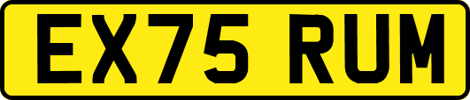 EX75RUM