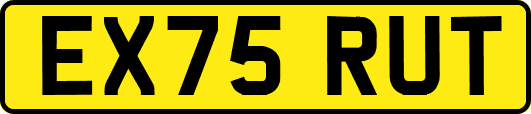 EX75RUT