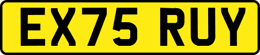 EX75RUY