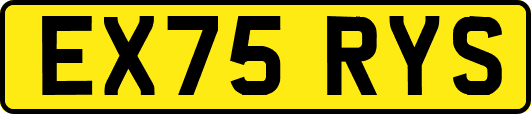 EX75RYS