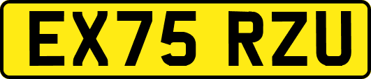 EX75RZU