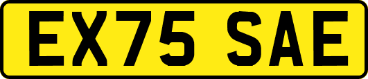 EX75SAE