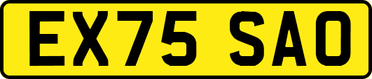 EX75SAO
