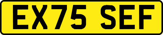 EX75SEF