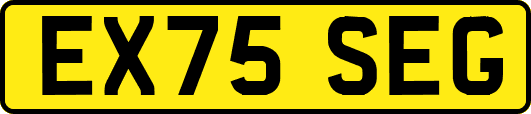 EX75SEG