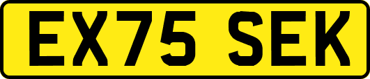EX75SEK
