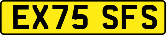 EX75SFS