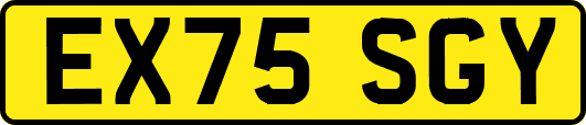 EX75SGY