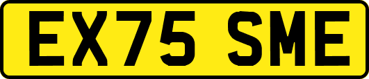 EX75SME