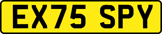 EX75SPY
