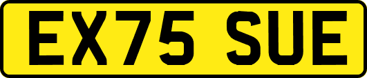 EX75SUE