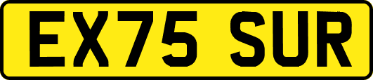 EX75SUR