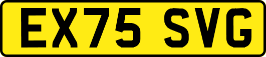 EX75SVG