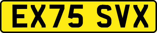 EX75SVX
