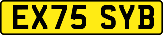 EX75SYB