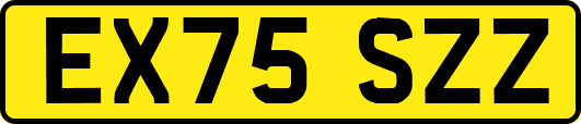 EX75SZZ