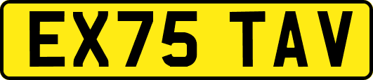 EX75TAV