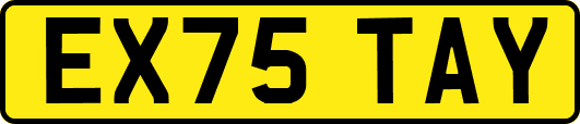 EX75TAY