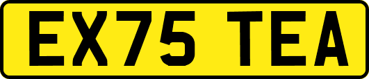 EX75TEA
