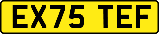 EX75TEF