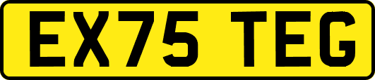 EX75TEG