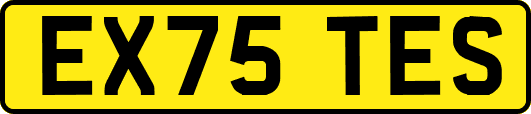 EX75TES